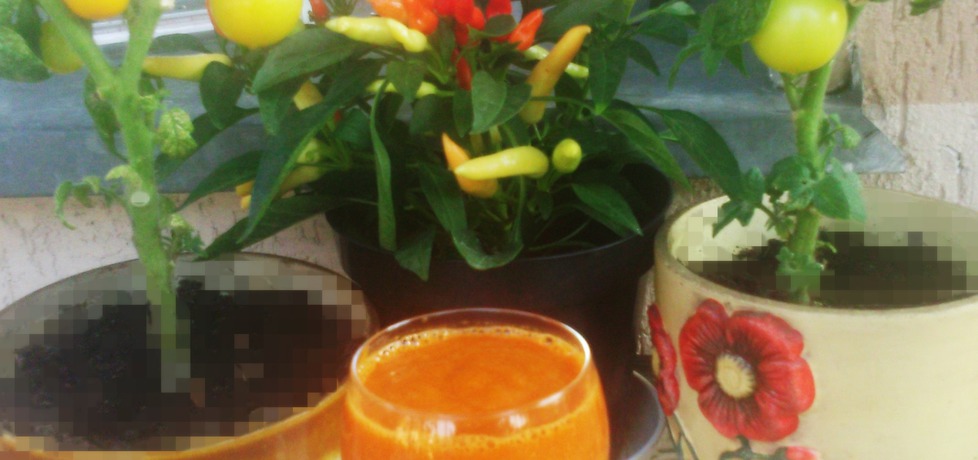 Drink krwawa mary z mieszanych pomidorów i chili (autor: habibi ...