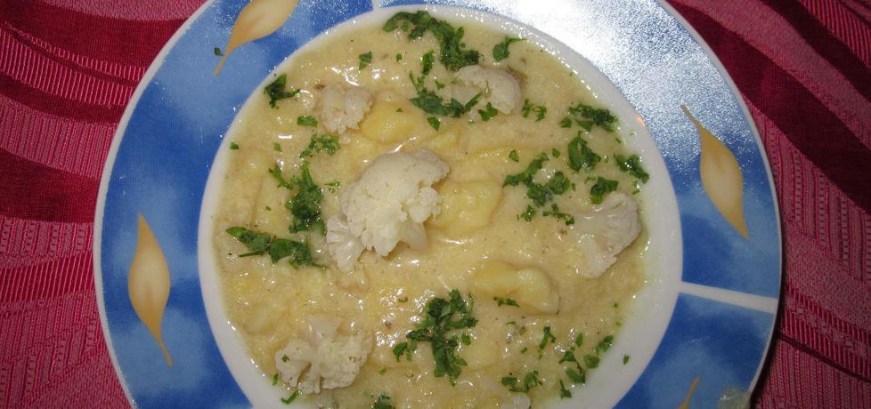 Zupa kalafiorowa (autor: halina17)