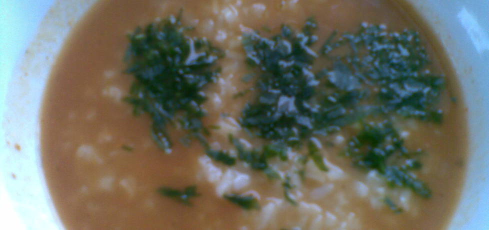 Zupa pomidorowa z ryżem na żeberkach (autor: miroslawa4 ...
