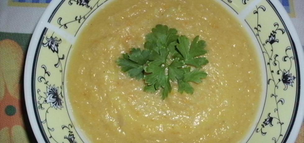 Zupa krem z fasoli szparagowej (autor: renataj)