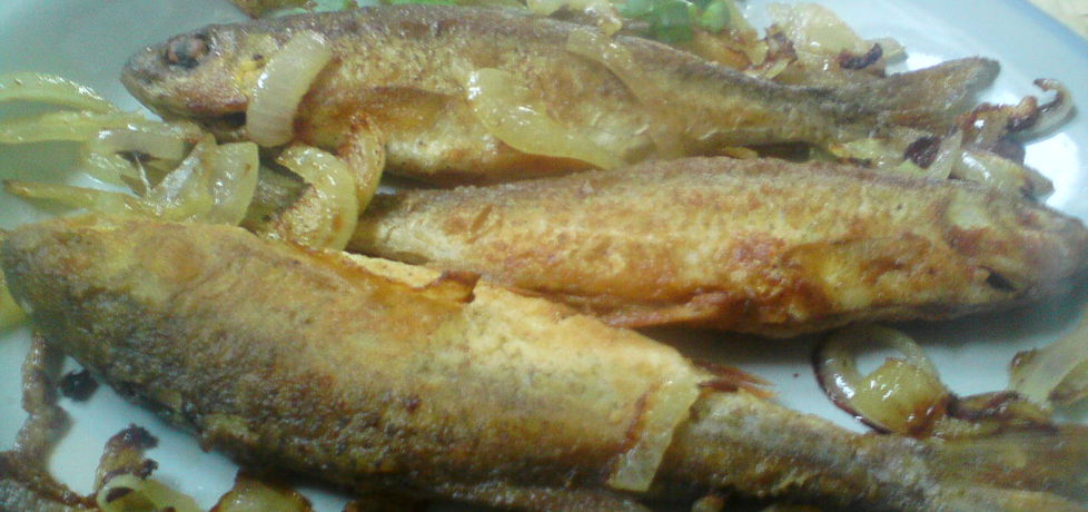 Ryby smażone z cebulką (autor: kasienka23)