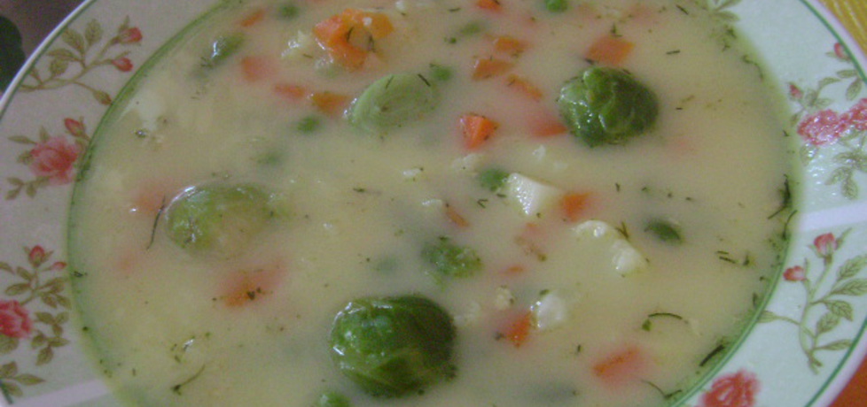 Zupa serowo-jarzynowa (autor: sylwiachmiel)