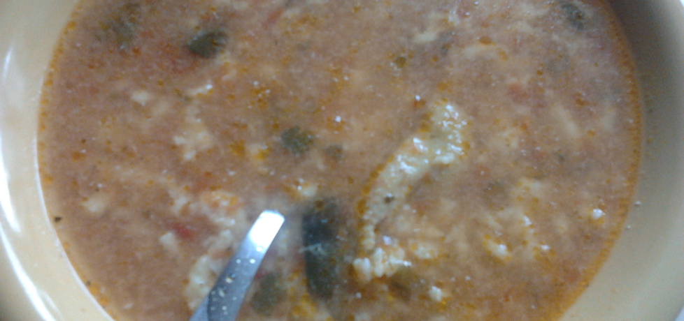Zupa pomidorowa na mięsie z ryżem (autor: agata1722 ...