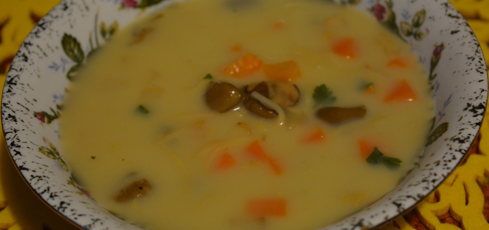 Zupa grzybowa z makaronem (autor: wafelek2601)