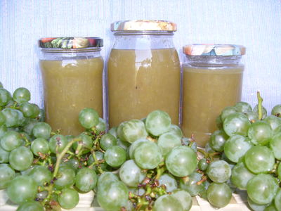 Sok z winogron ogrodowych