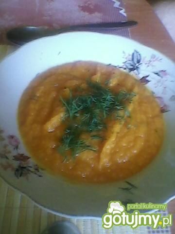 Kulinarne abc: zupa krem z marchewki. gotujmy.pl