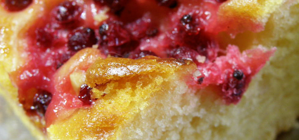 Ciasto ucierane z czerwonymi porzeczkami (autor: habibi ...