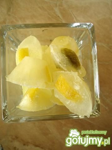 Przepis  cytrynowe i limonkowe kostki lodu przepis