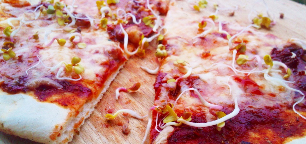 Pizza z suszonymi pomidorami i mozzarellą (autor: niunia1 ...