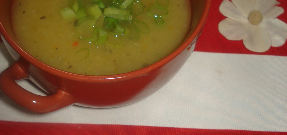 Zupa krem z żółtej papryki z dodatkiem zielonej cebulki (autor ...