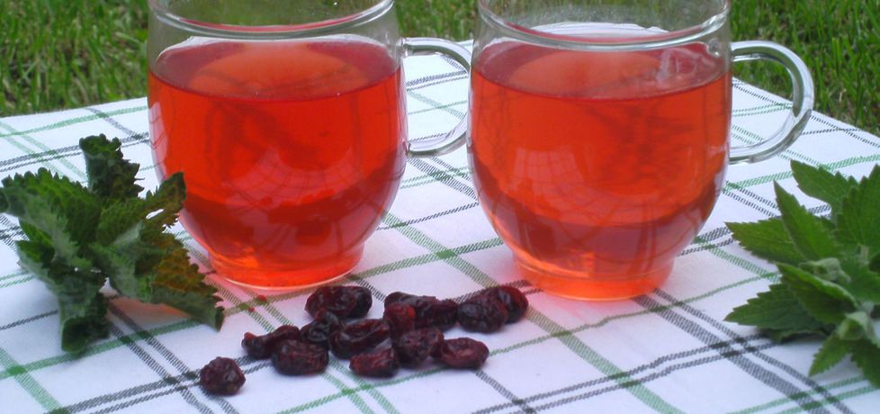Ziołowa ice tea z żurawiną (autor: katarzyna59)