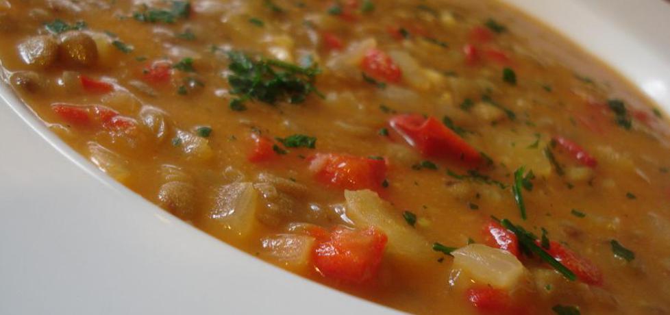 Pikantna zupa z soczewicy (autor: ania67)