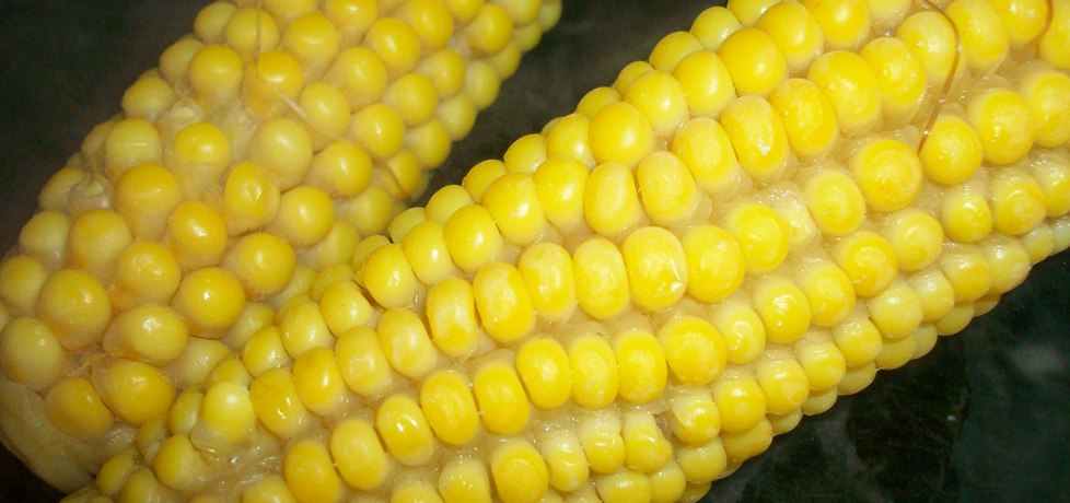 Kukurydza gotowana z masełkiem (autor: wiola333 ...