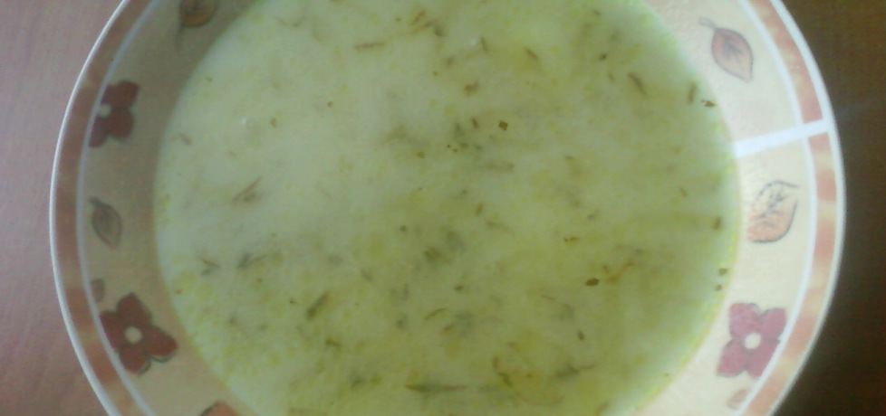 Zupa ogórkowa (autor: gosia1988)