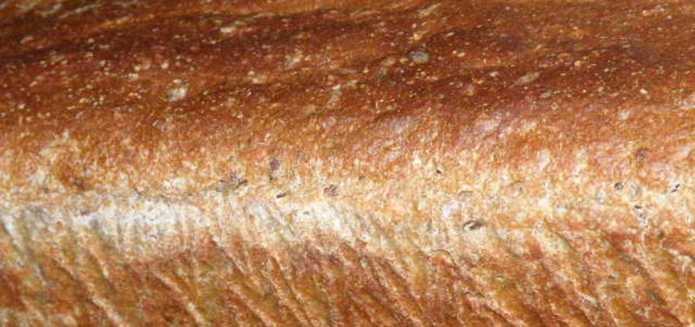 Chleb orkiszowy z koperkiem i lnem