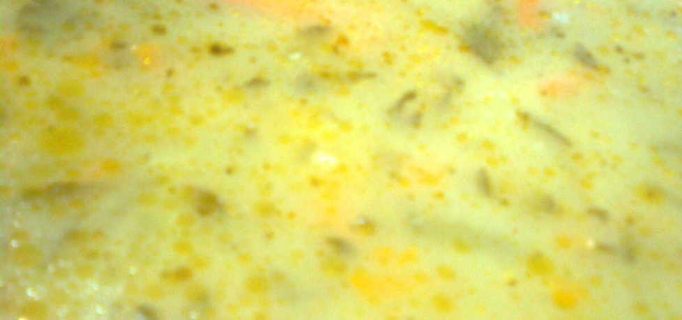 Zupa z mrożonki warzywnej (autor: agata1722)