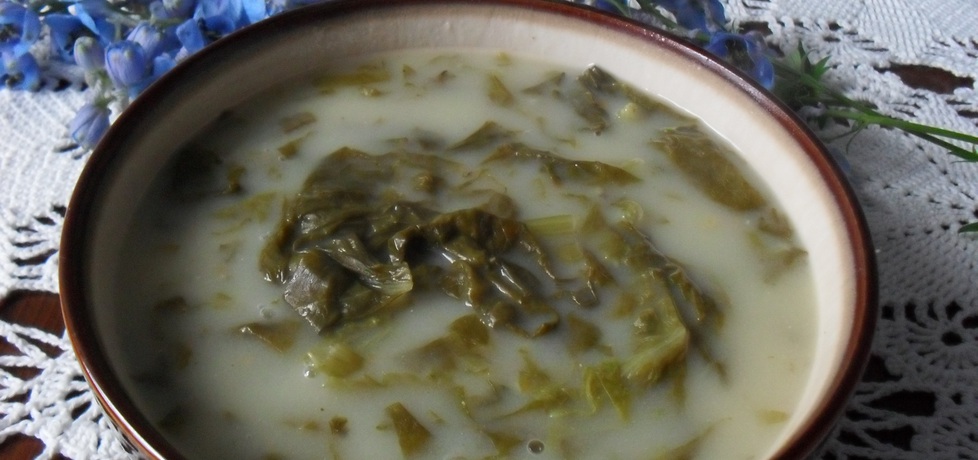 Zupa z sałaty (autor: urszula-swieca)