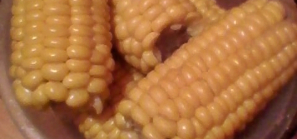 Kukurydza gotowana na słodko (autor: justyna223)