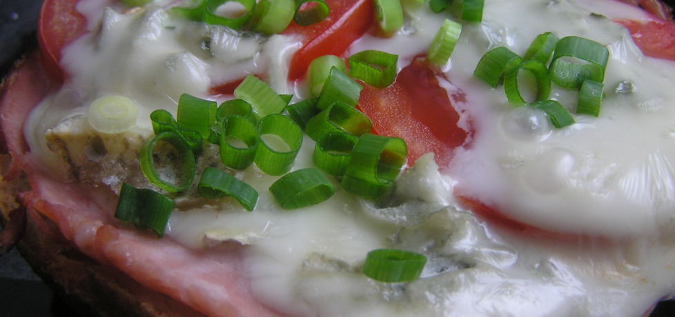 Mała zapiekanka z gorgonzolą i pomidorem (autor: bernadettap ...