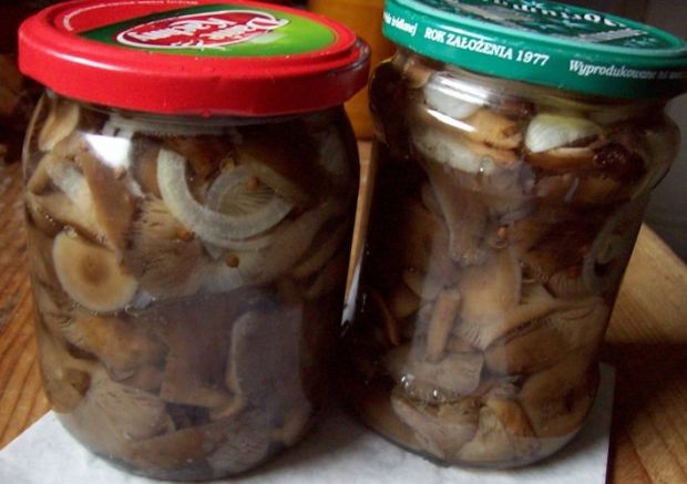 Smaczne przepisy na: grzyby marynowane. gotujmy.pl