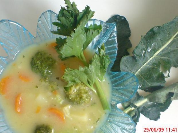 Jak przyrządzić: zupa brokułowa? gotujmy.pl