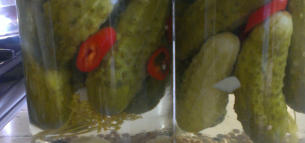 Ogórki konserwowe z chili (autor: catti)