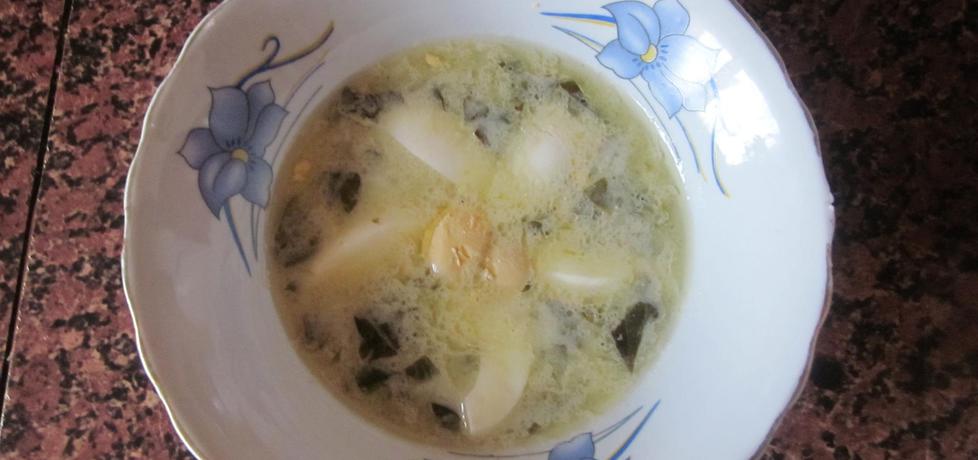 Zupa szczawiowa na rosole drobiowym (autor: halina17 ...