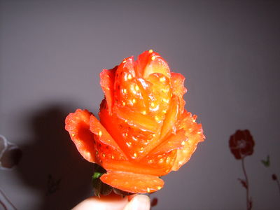 Róża z truskawki