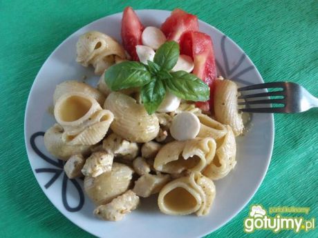 Przepis  lumaconi z pesto i kurczakiem przepis