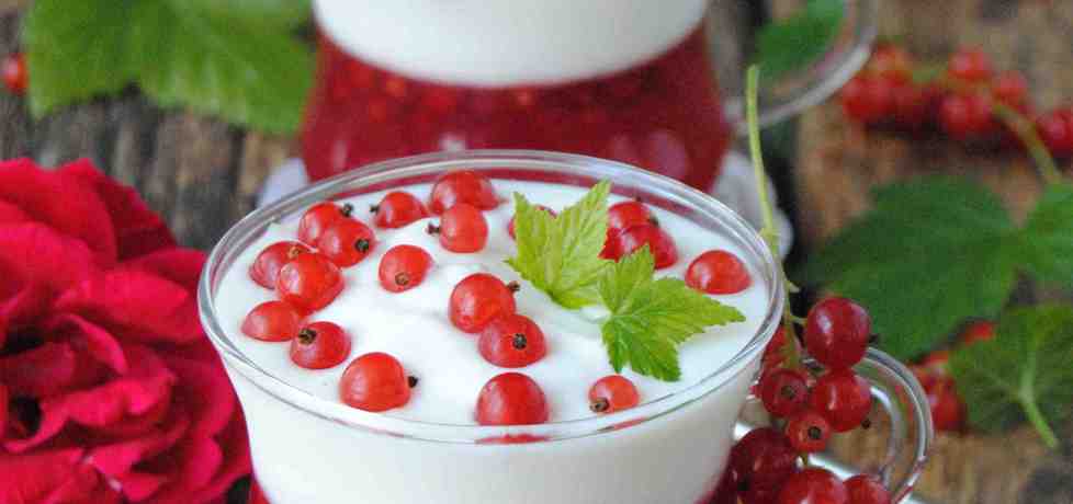 Orzeźwiający porzeczkowo – jogurtowy deser (autor: jadwigajaga85 ...
