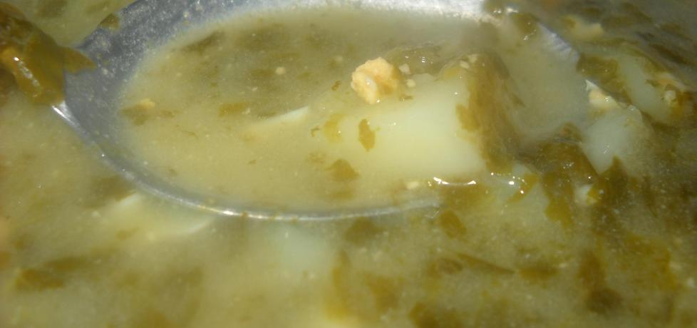 Zupa szpinakowa dla dziecka (autor: justyna