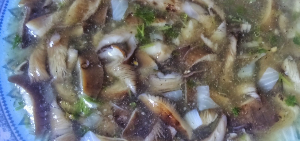 Zupa grzybowa na opieńkach (autor: habibi)