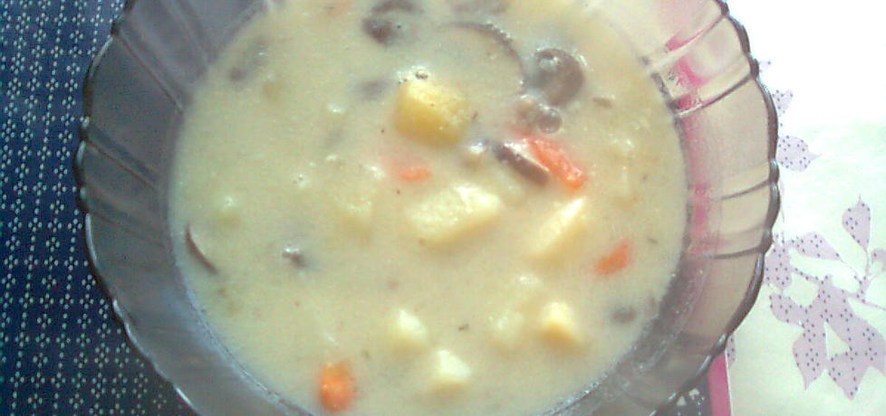 Zupa z brązowych pieczarek (autor: emilia22)