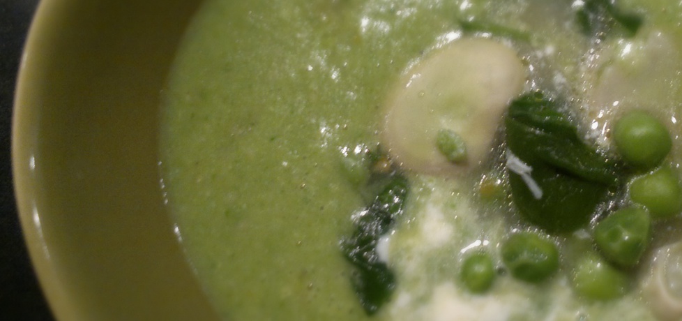 Zielona zupa (autor: paulinajoanna)