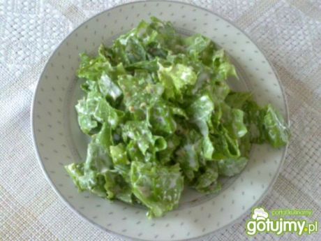 Przepis  zielona sałatka do obiadu wg megg przepis