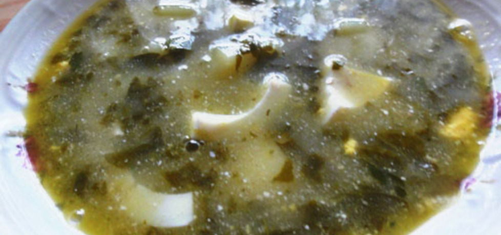 Zupa ze szczawiu (autor: bercik1)