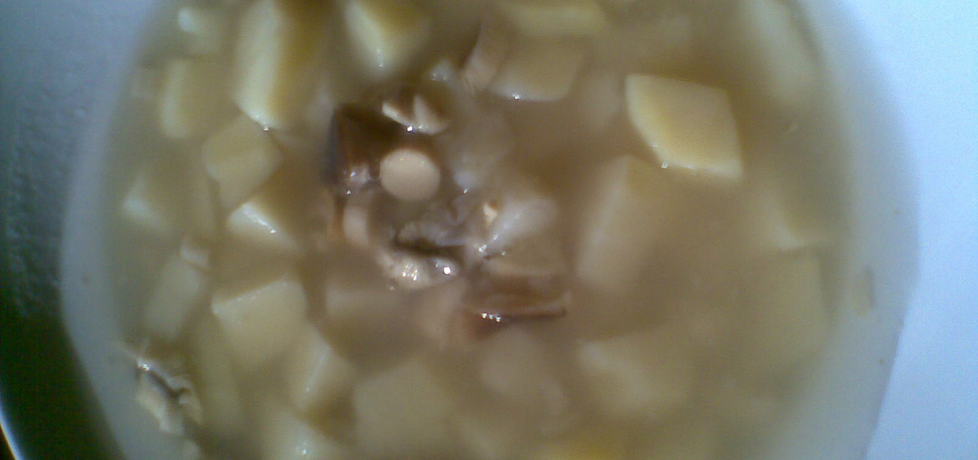 Zupa z grzybami lesnymi (autor: margo1)