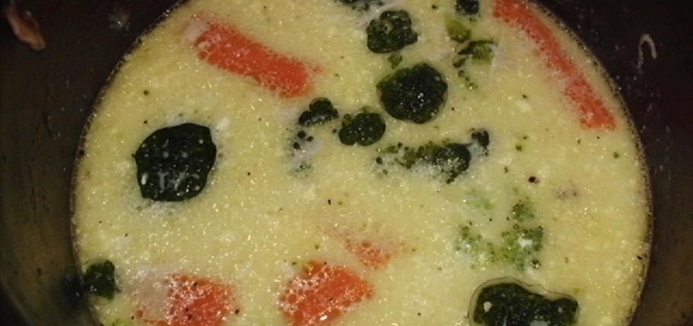 Zupa serowa na rosole z brokułem (autor: renataj)