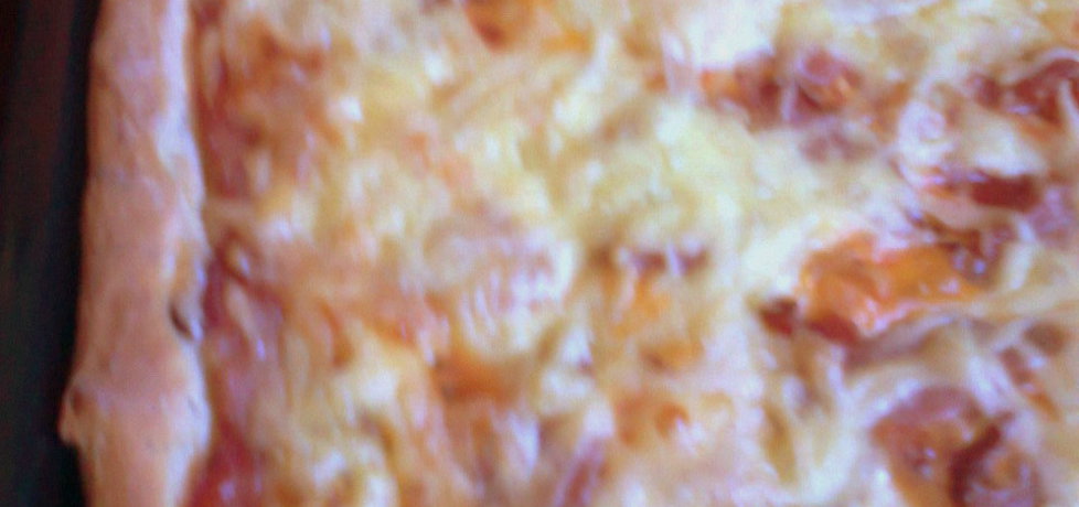 Pizza z szynką i serem, spód z dodatkiem oregano (autor: jolantaps ...