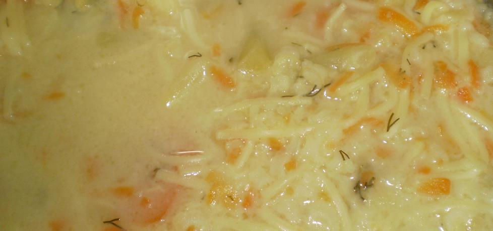 Zupa ogórkowa z ryżem i makaronem (autor: anja3107 ...