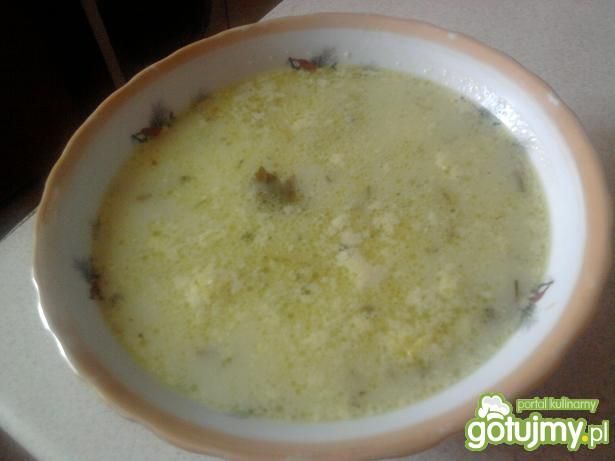 Zupy: zupa ogórkowa 5
