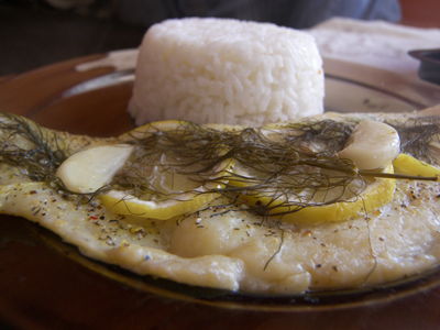 Zapiekana biała ryba z cytryna i koprem włoskim