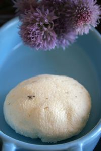 Domowy ser indyjski panir