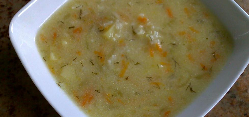 Zupa ogórkowa z ryżem (autor: ewelina45)