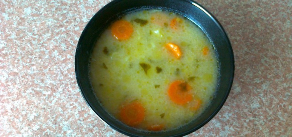 Zupa ogórkowa na kefirze (autor: konczi)