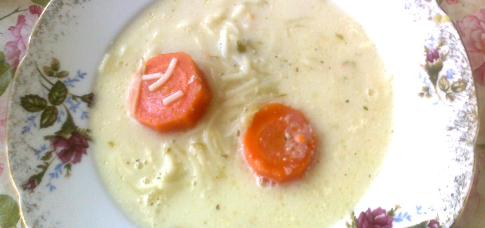 Zupa ogórkowa z makaronem (autor: katarzyna59)