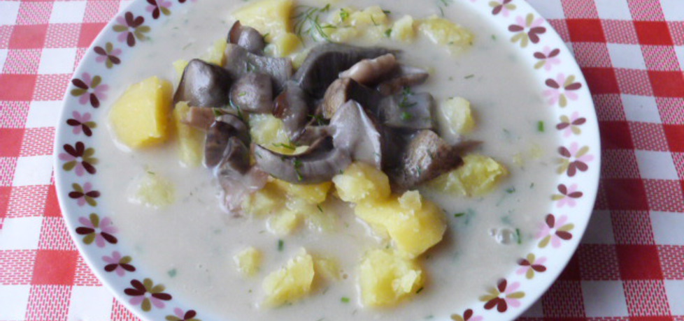 Zupa z grzybów leśnych z koperkiem (autor: ikrakowianka ...