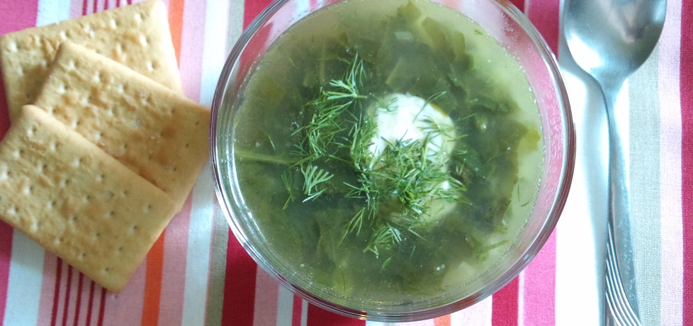 Zielona zupa ze szpinakiem (autor: alexm)