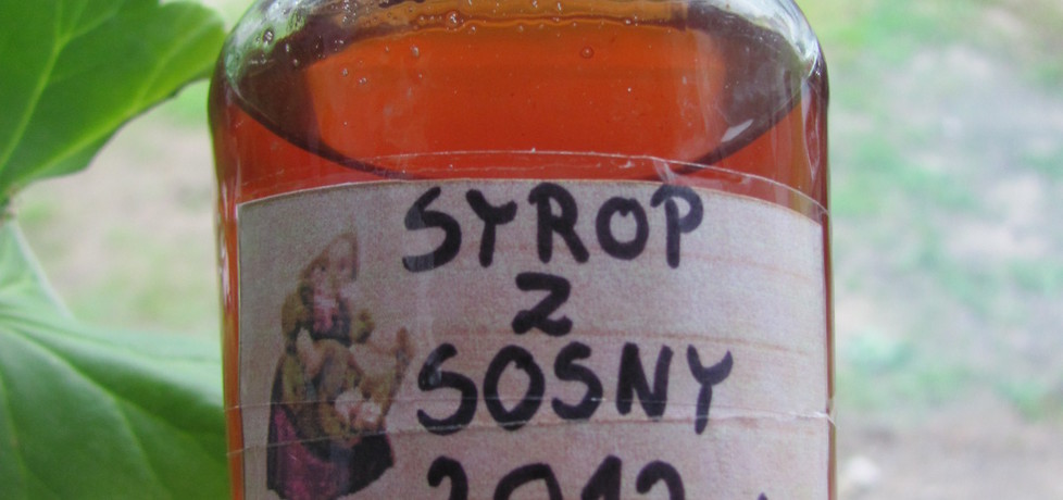 Syrop z sosny (autor: sylwia-sytofala)