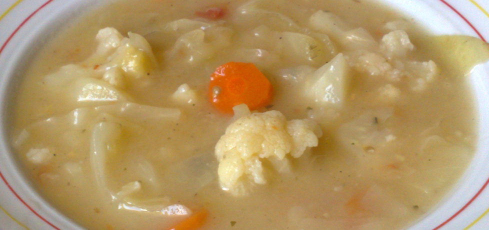 Letnia zupa warzywna (autor: teresa18)